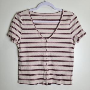 AMERICAN EAGLE Soft & Sexy Rip Cropped V Neck Bodycon Baby Tee‎ L